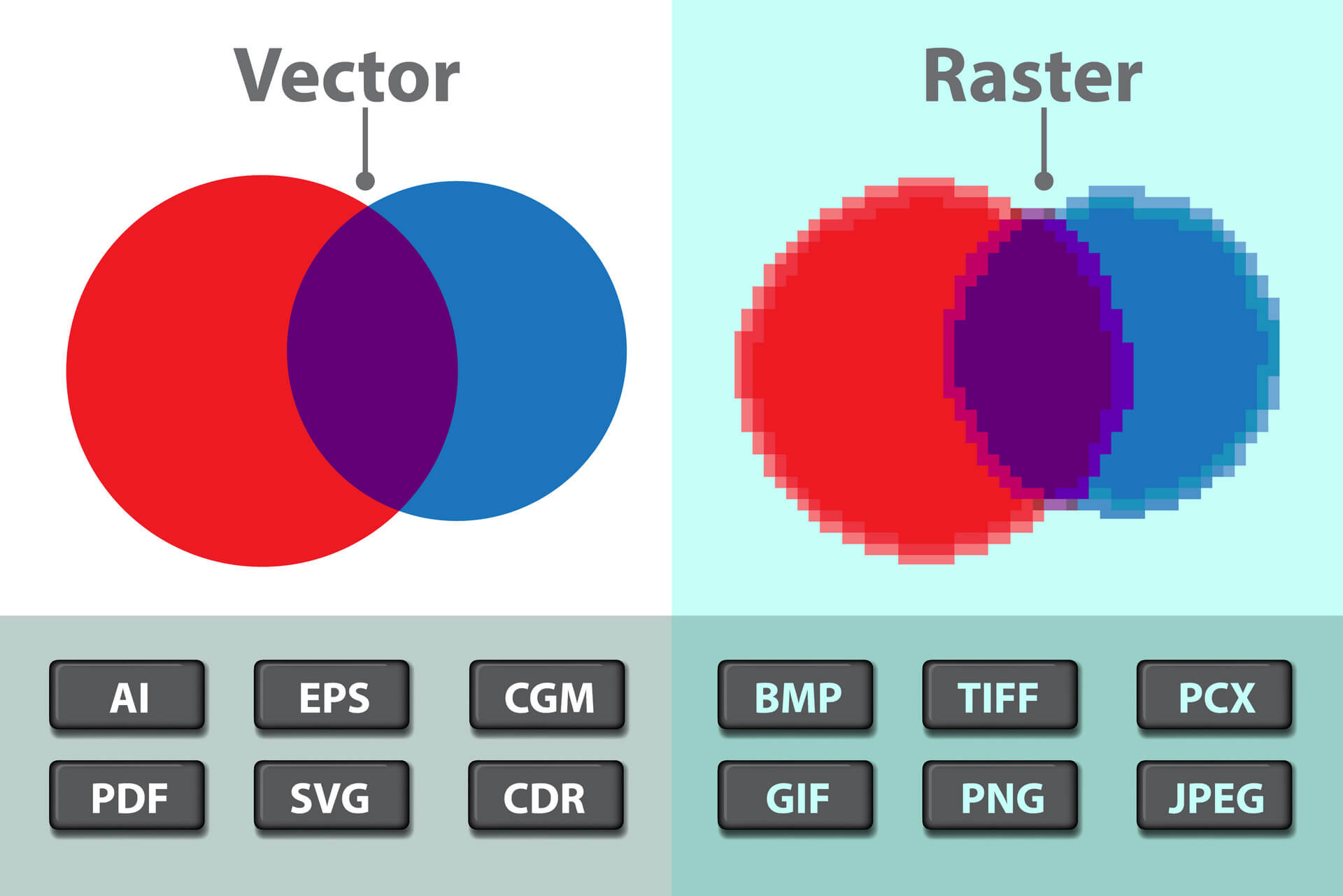 wektor vs raster.jpeg