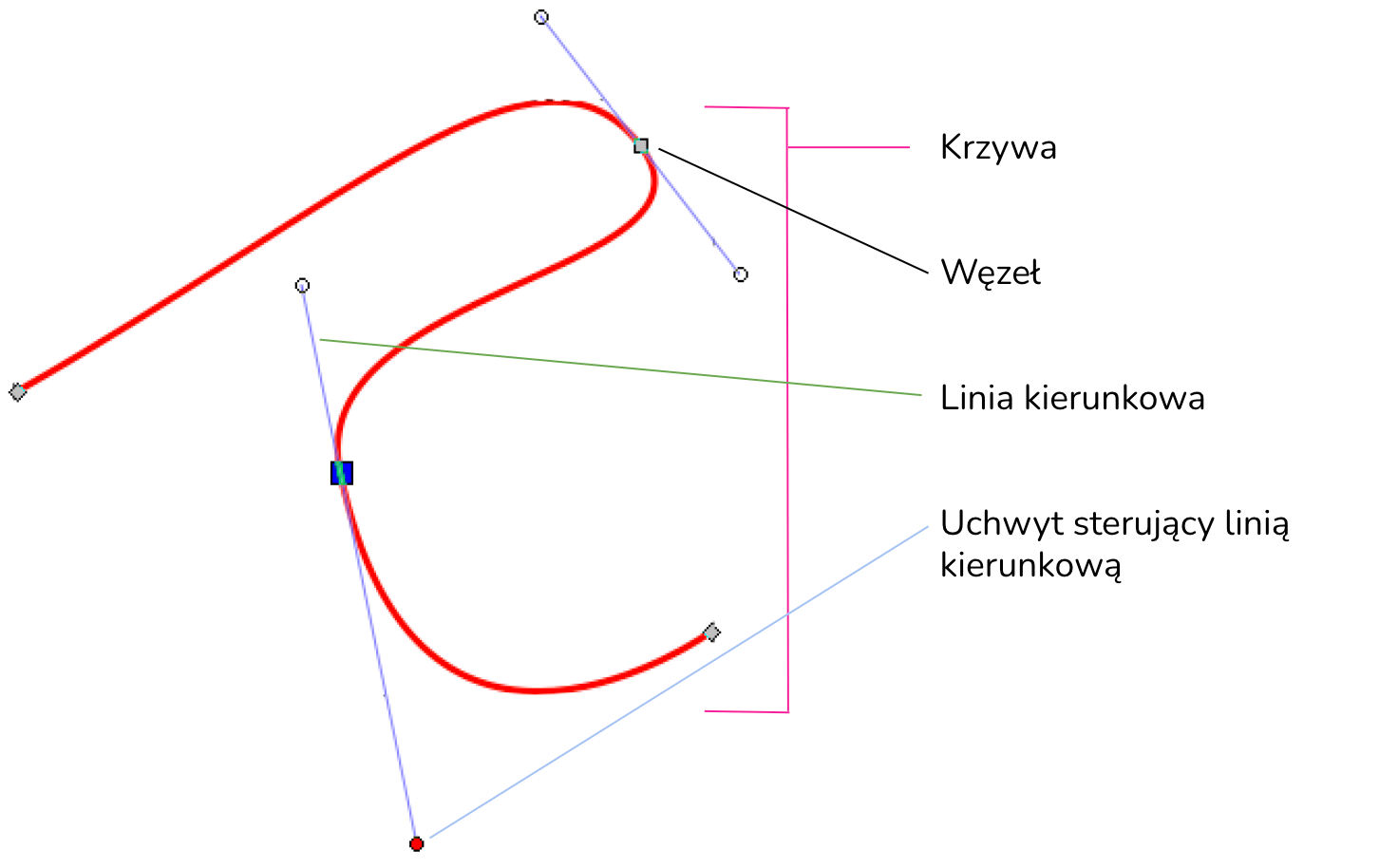 krzywa